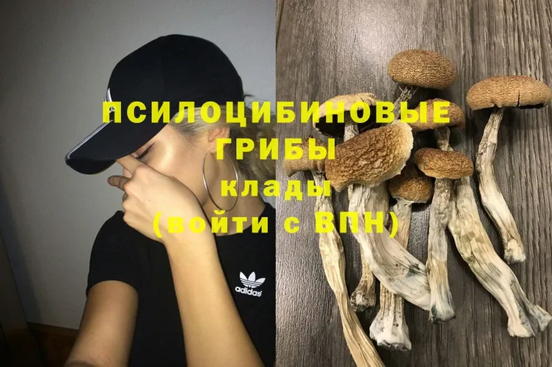 Галлюциногенные грибы Cubensis  Суоярви 